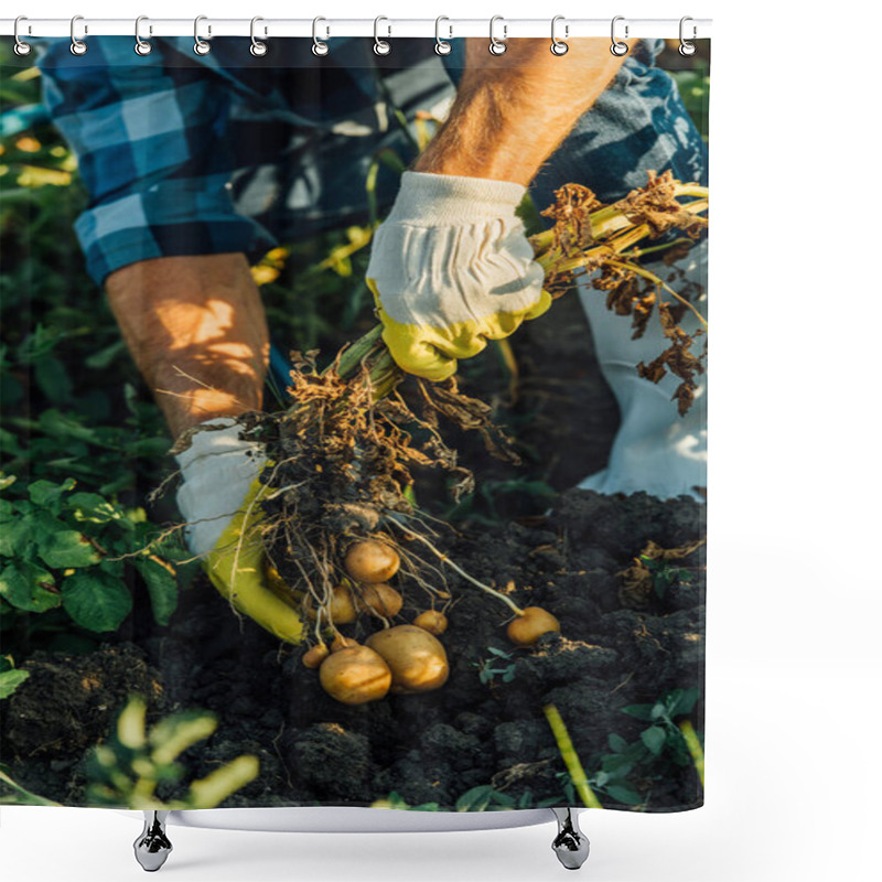 Personality  Cropped View Of Farmer Holding Potato Plant With Tubers While Harvesting In Field Shower Curtains