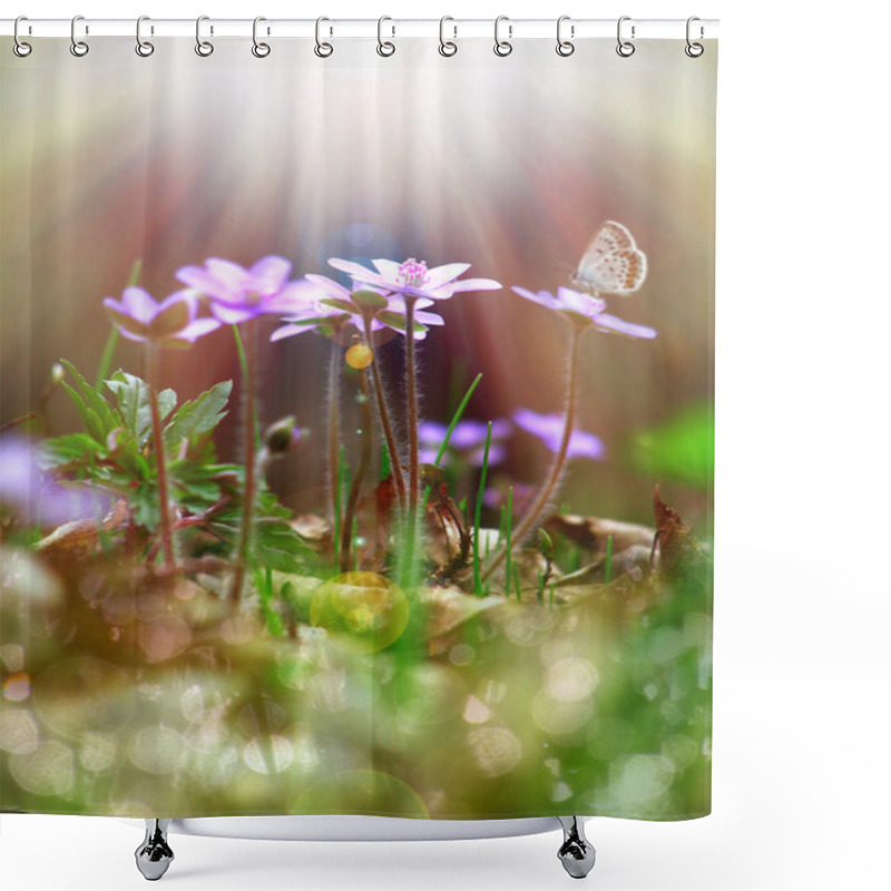 Personality  Tiny Purple Flowers Under The Sunlight Shower Curtains