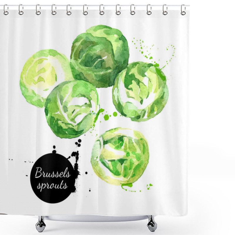 Personality  Fresh Brussels Sprouts.  Shower Curtains