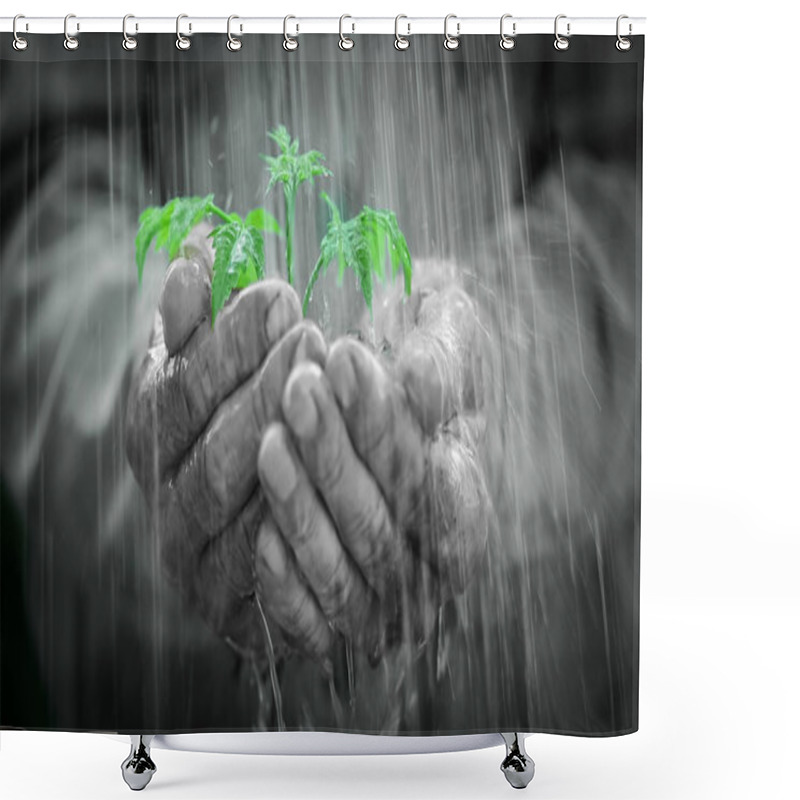 Personality  Young Plant In The Rain Shower Curtains