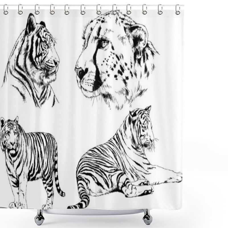 Personality  Set Of Vector Drawings On The Theme Of Predators Tigers Are Drawn By Hand With Ink Tattoo Logos Shower Curtains