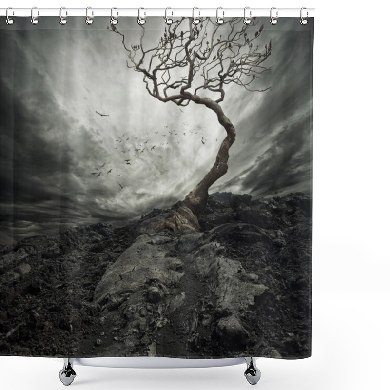 Personality  Dramatic Sky Over Old Lonely Tree Shower Curtains