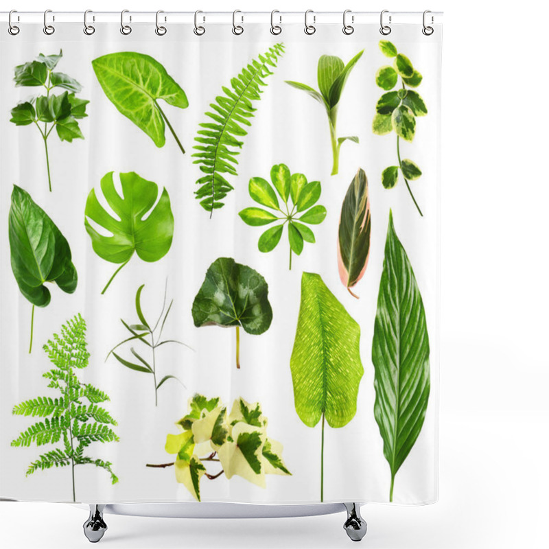 Personality  Different Houseplants Leaves Shower Curtains