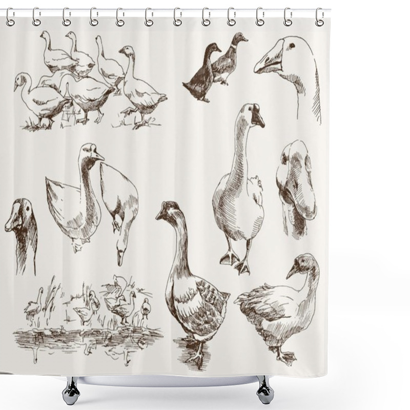 Personality  Breeding Geese Shower Curtains