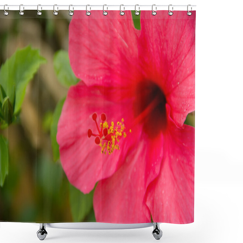 Personality  Hibiscus (close Up) Shower Curtains