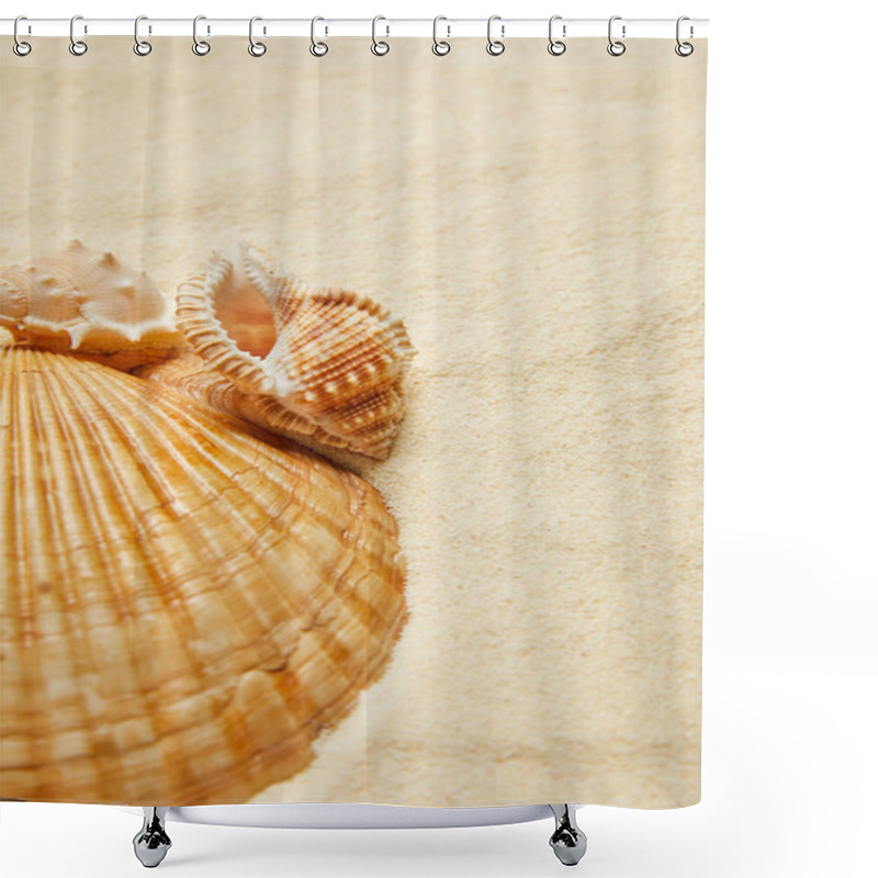 Personality  Selective Focus Of Seashells On Beach With Golden Sand  Shower Curtains