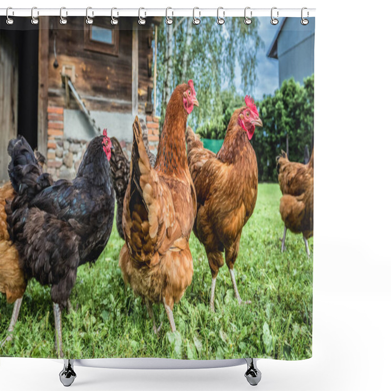 Personality  Free Range Chicken Farm In A Village In Poland Shower Curtains