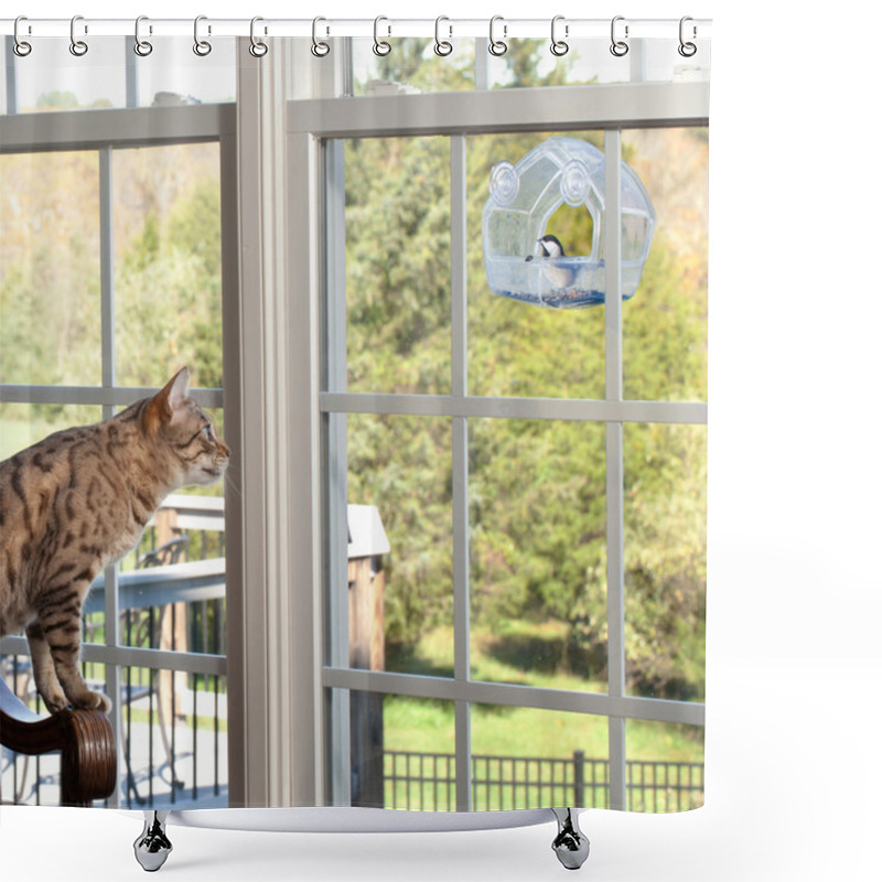 Personality  Cat Watching Bird On Feeder Shower Curtains