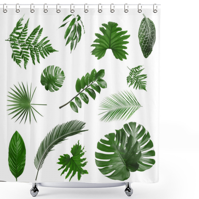 Personality  Set With Different Tropical Leaves On White Background Shower Curtains