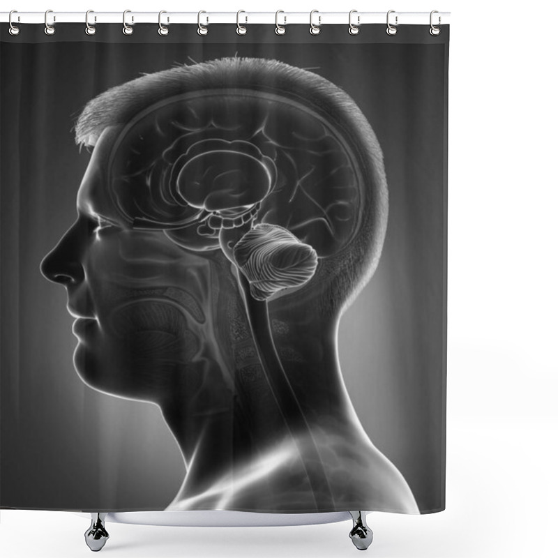 Personality  3d Rendered Medically Accurate Illustration Of A Male Brain Anatomy Shower Curtains