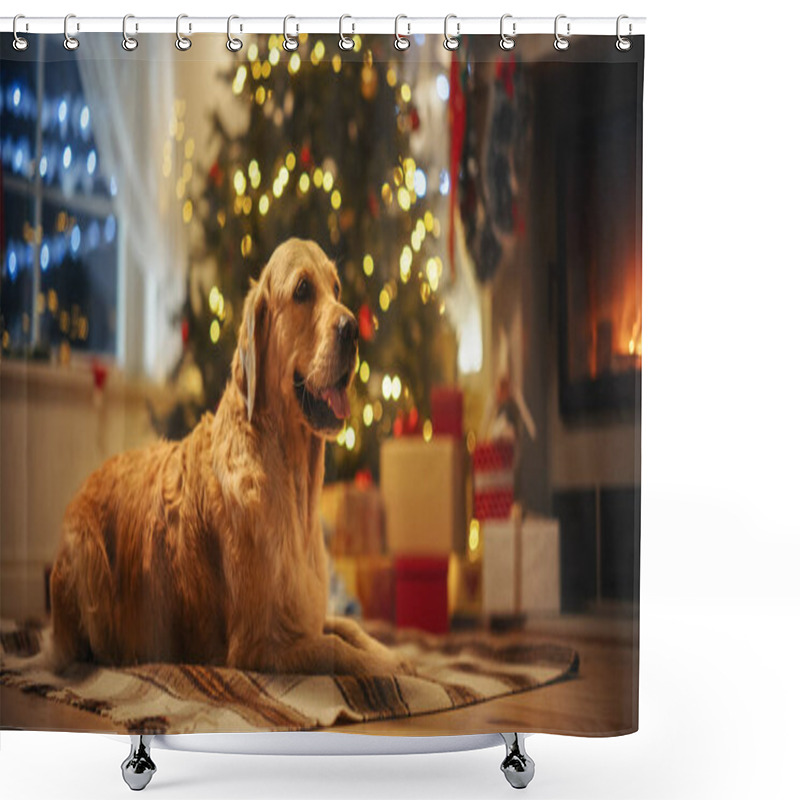 Personality  Cute Purebred Golden Retriever Enjoying The Warmth Inside On A Winter Night: Dog Resting Next To A Fireplace Decorated Christmas Ornaments, Garlands Shower Curtains