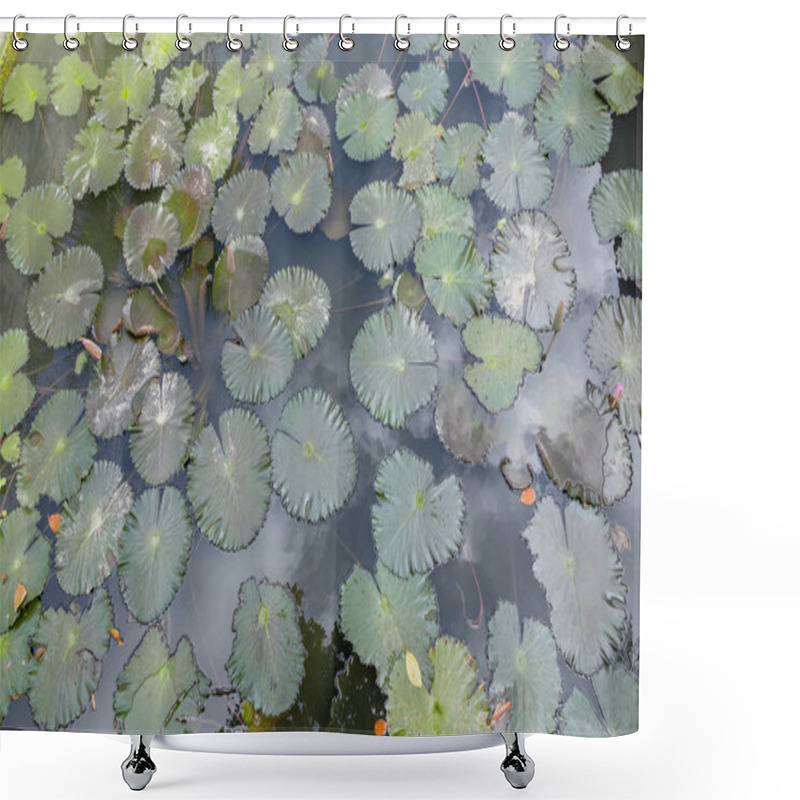 Personality  Lilies Shower Curtains