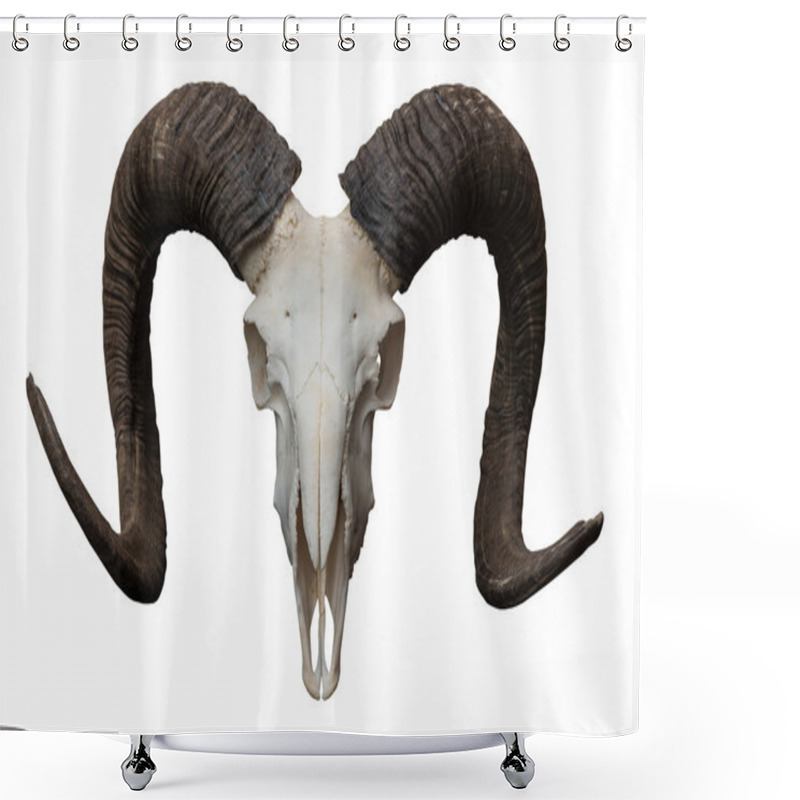 Personality  Goat Skull Isolated On The White Background. Shower Curtains