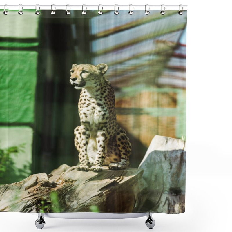 Personality  Selective Focus Of Wild Leopard Sitting In Tree Trunk Near Green Plants In Zoo  Shower Curtains