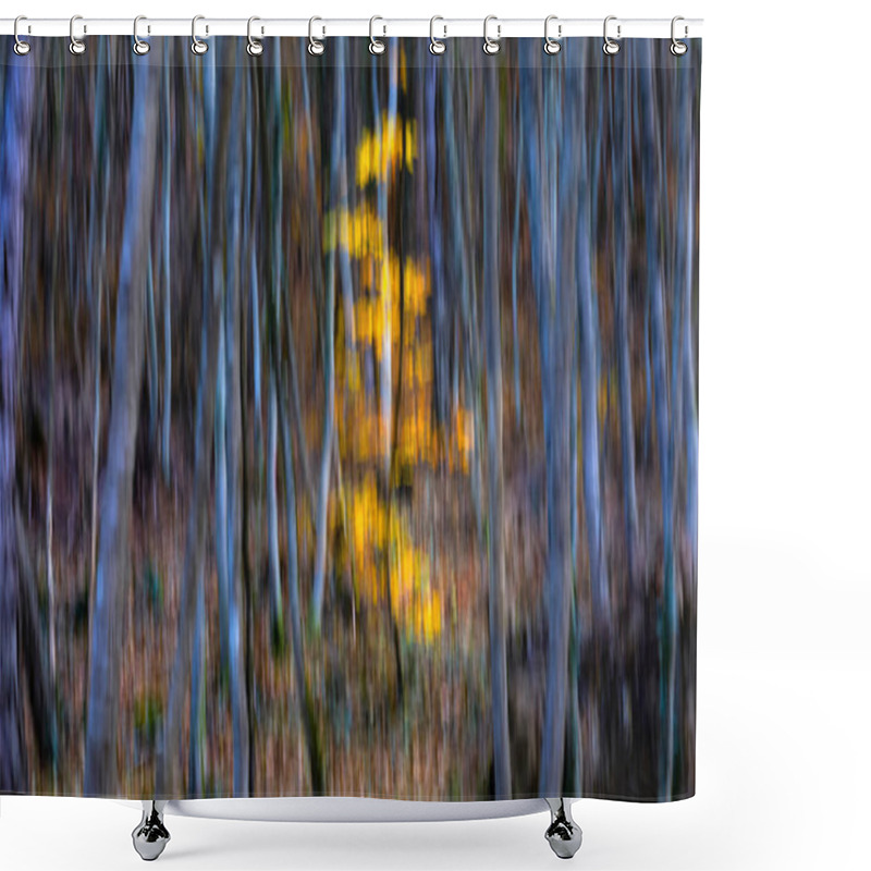 Personality  Trees. Abstract Forest Landscape. Trees Photographed With Pan Technique. Natural Background. Shower Curtains