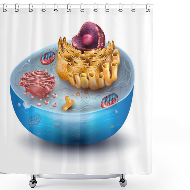 Personality  Cell Structure Cross Section Shower Curtains