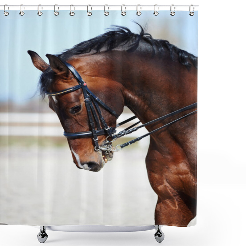 Personality  Portrait Of A Sports Horse. Shower Curtains