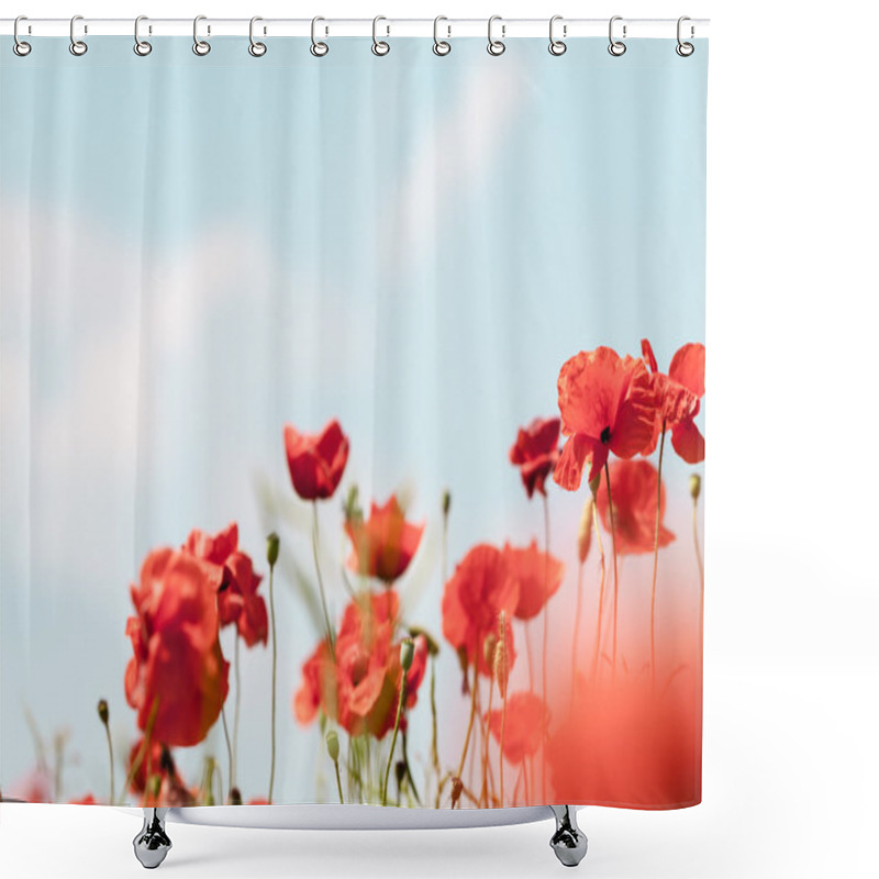 Personality  Poppy Flowers Retro Peaceful Summer Background Shower Curtains