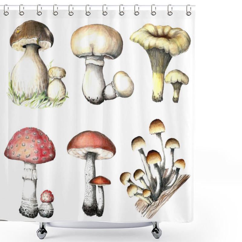 Personality  Pencil Mushrooms. Shower Curtains