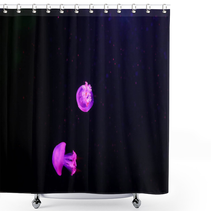 Personality  Beautiful Jellyfish, Medusa In The Neon Light With The Fishes. Underwater Life In Ocean Jellyfish. Exciting And Cosmic Sight Shower Curtains