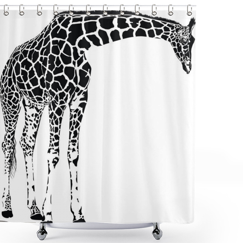 Personality  Giraffe Vector Shower Curtains