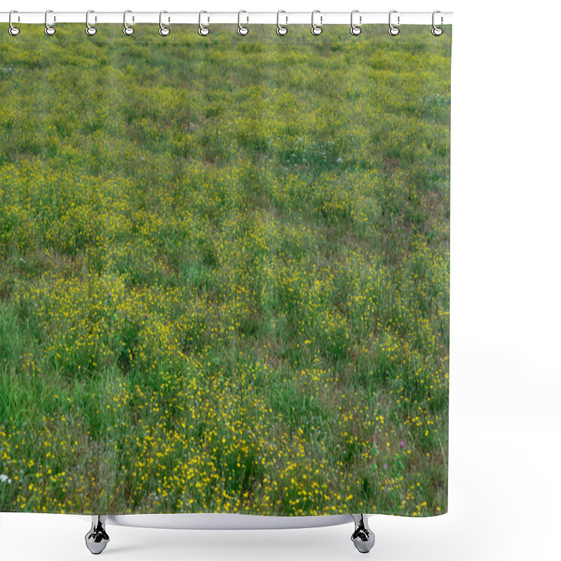 Personality  Meadow Covered In Yellow Flowers. Shower Curtains