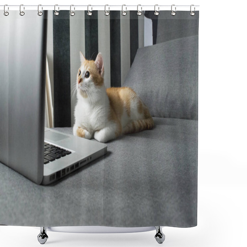 Personality  Orange Cat Sits Near The Laptop And Looks Into The Screen Shower Curtains