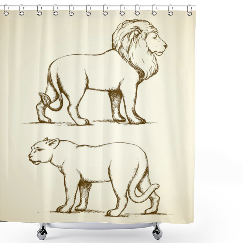 Personality  Lion And Lioness. Vector Drawing Shower Curtains