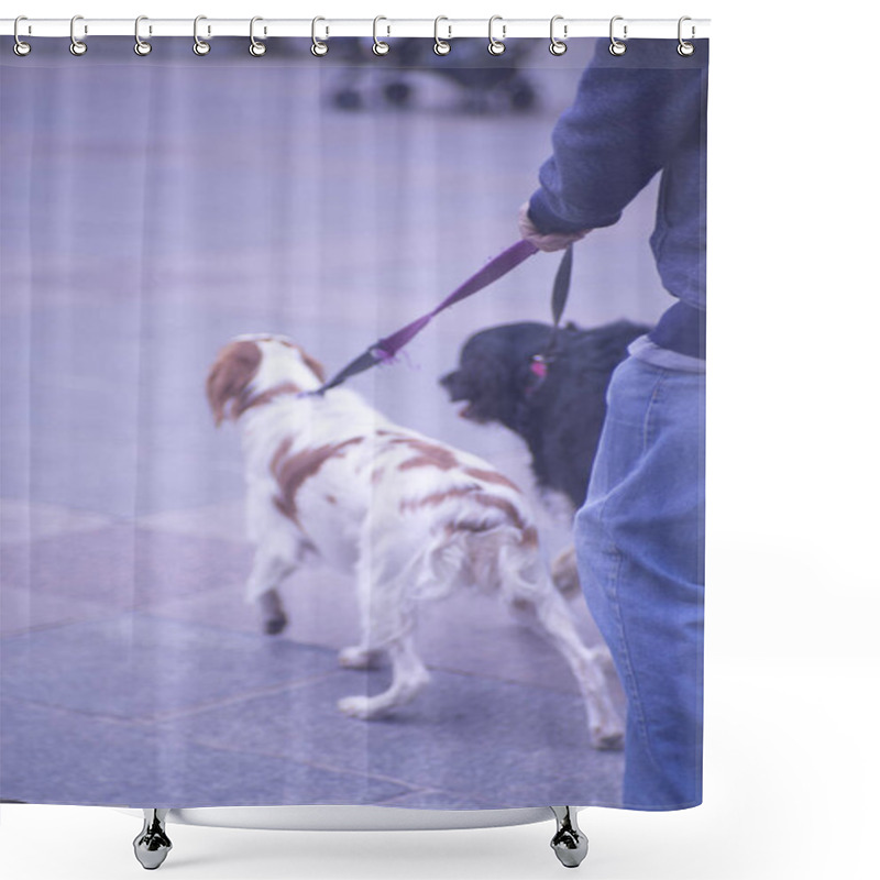 Personality  People Walking Dog In Street Shower Curtains