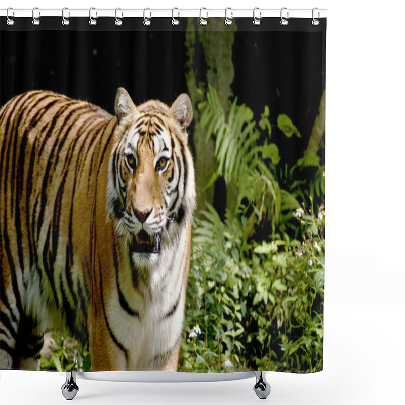 Personality  Bengal Tiger Shower Curtains