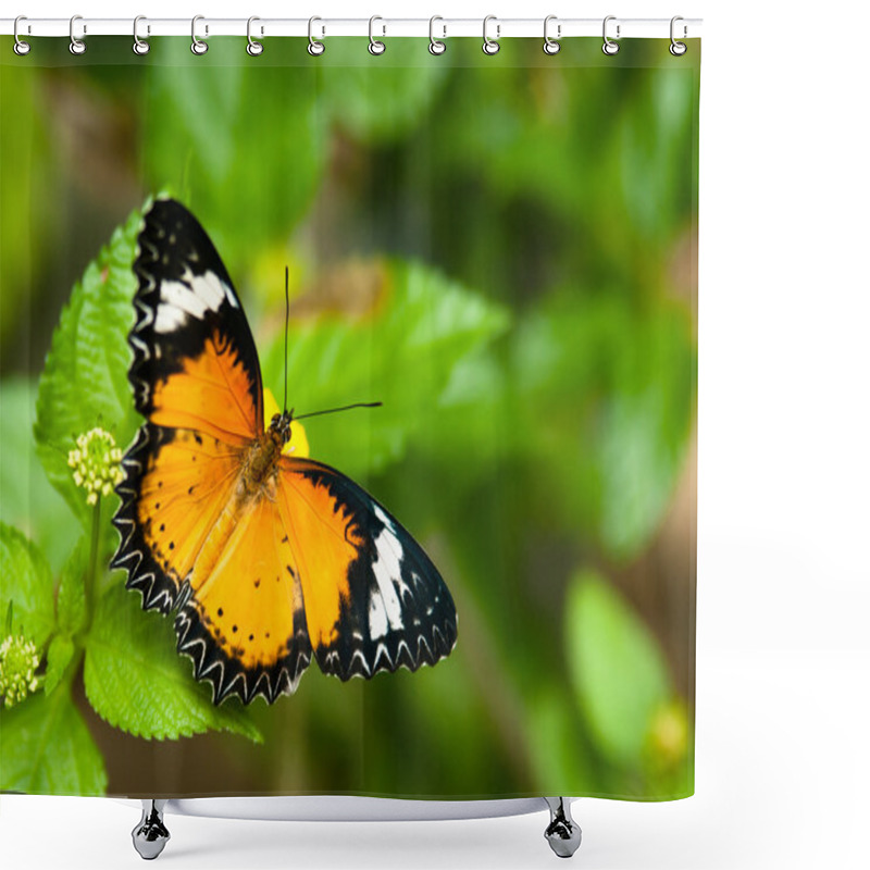 Personality  Tropical Butterfly Shower Curtains