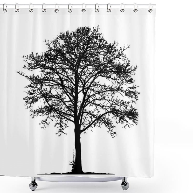 Personality  Tree Without Leaves Vector Illustration , EPS 10. Shower Curtains