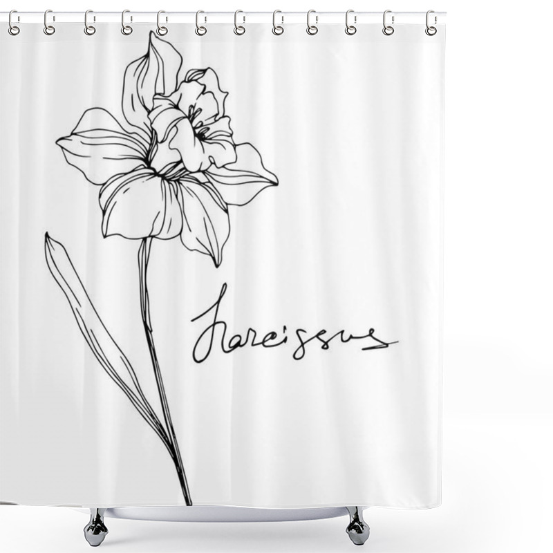 Personality  Vector Narcissus Flower Illustration Isolated On White. Black And White Engraved Ink Art.  Shower Curtains