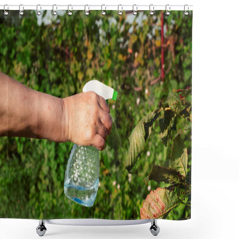 Personality  A Woman Holds In Her Hands A Spray For Treating Plants From Pests. She Treats A Young Chestnut Tree, Which Is Beaten With Brown Spots. Fine Droplets From The Atomizer Are Clearly Visible. High Quality Shower Curtains