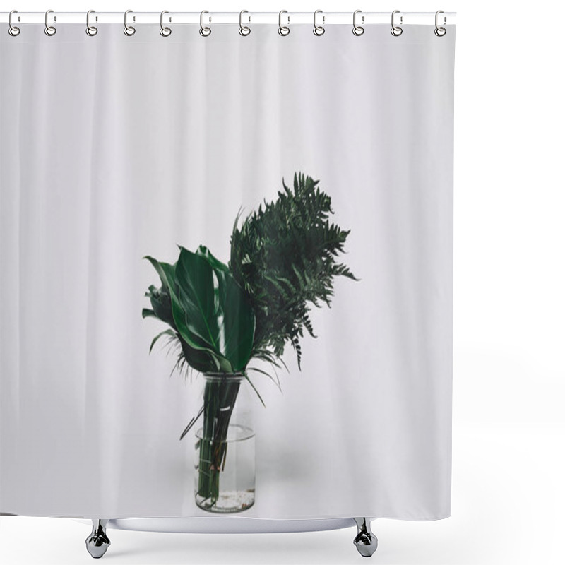 Personality  Bunch Of Various Green Leaves In Glass Vase Isolated On White Shower Curtains