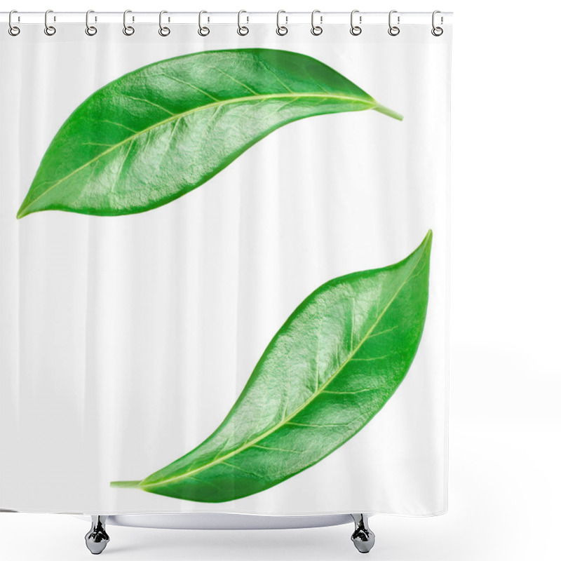 Personality  Flying Orange Fruit  Leaves Isolated On A White Background. Citrus Leaves  Macro. Top View. Flat Lay Shower Curtains