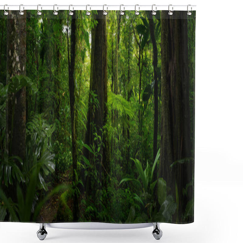 Personality  Tropical Forest With A Tree On The Background Of A Forest  Shower Curtains