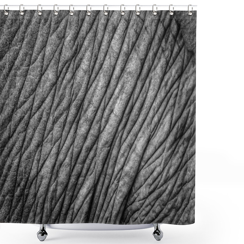 Personality  Elephant Skin Closeup Shower Curtains