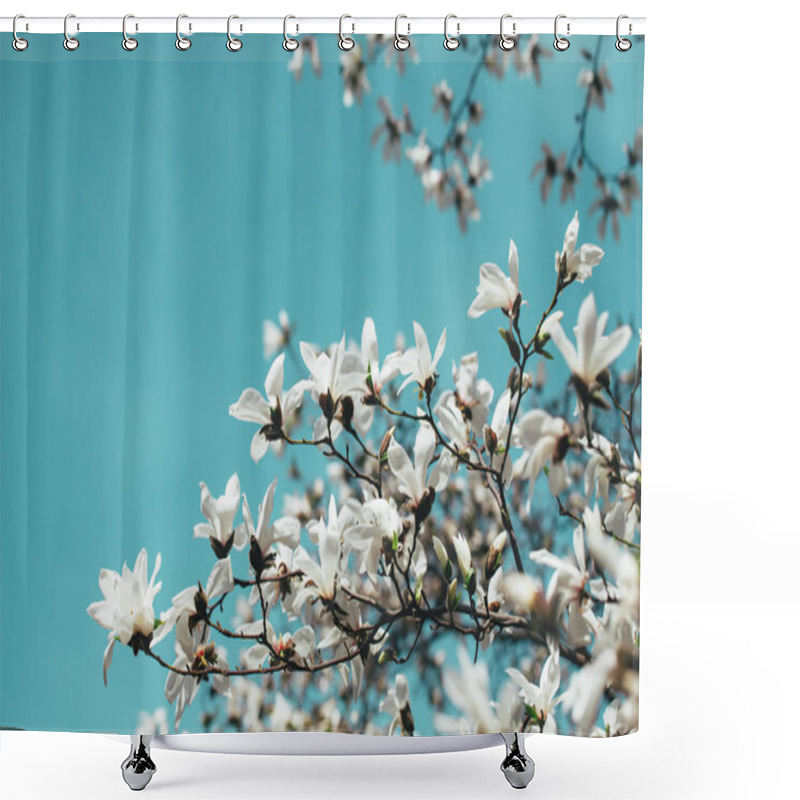 Personality  Spring Magnolia Tree Flowers Shower Curtains