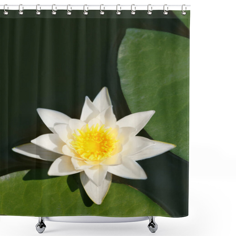 Personality  Beautiful Waterlily On A Pond Shower Curtains