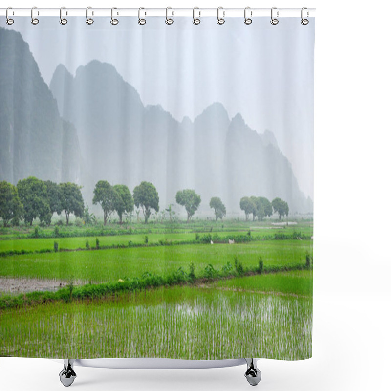 Personality  Vietnam Landscape. Rice Fields And Karst Towers In Ninh Binh Shower Curtains