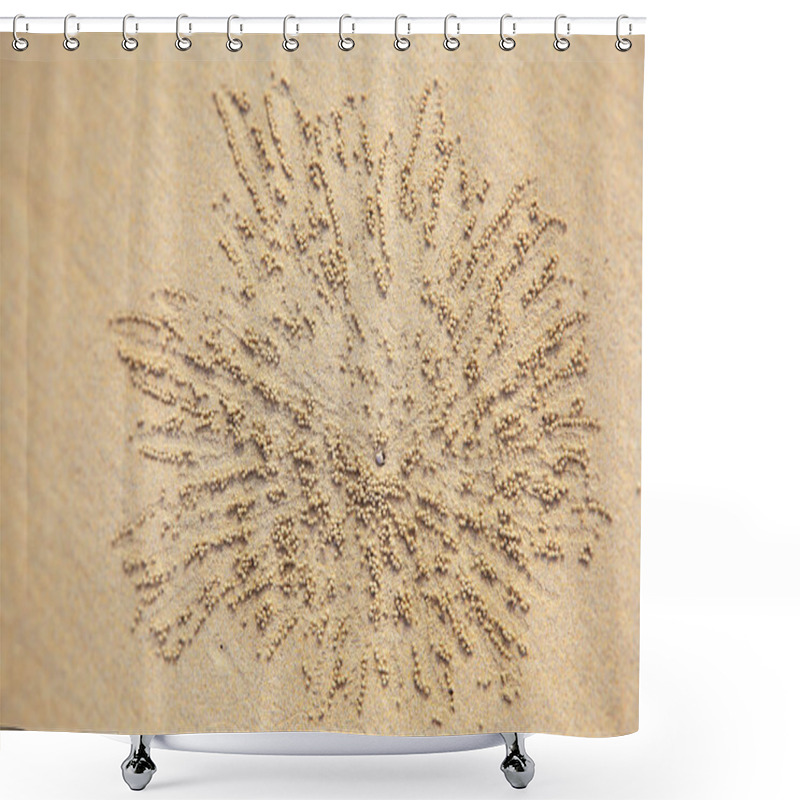 Personality  A Small Sand Crab. Burrows Of Crabs, Sandy Balls Shower Curtains