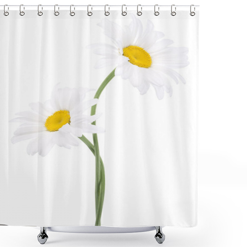 Personality  Daisy Shower Curtains