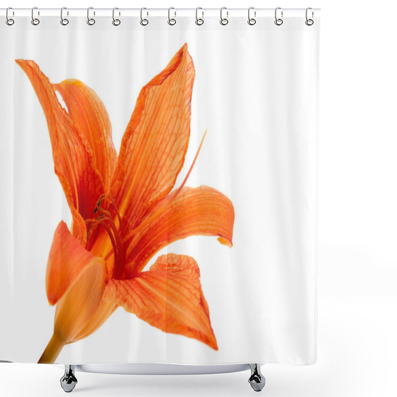 Personality  Orange Lily Isolated Shower Curtains