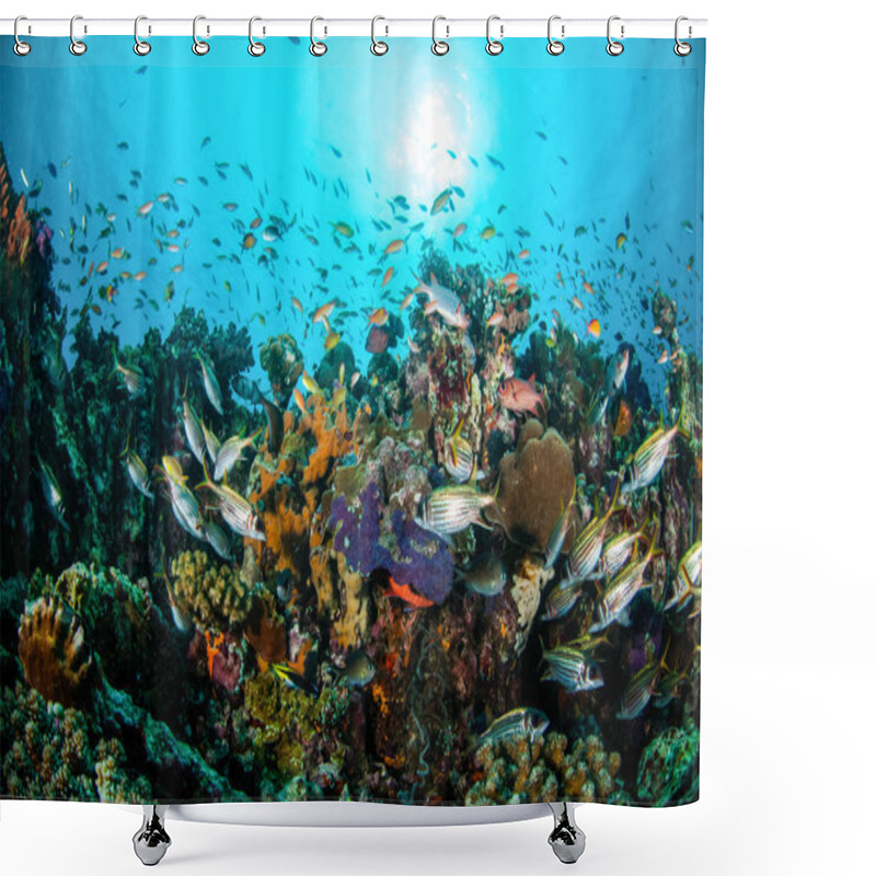 Personality  Various Coral Fishes, Squirrelfish Swim Above Coral Reefs In Gili Lombok Nusa Tenggara Barat Indonesia Underwater Photo Shower Curtains