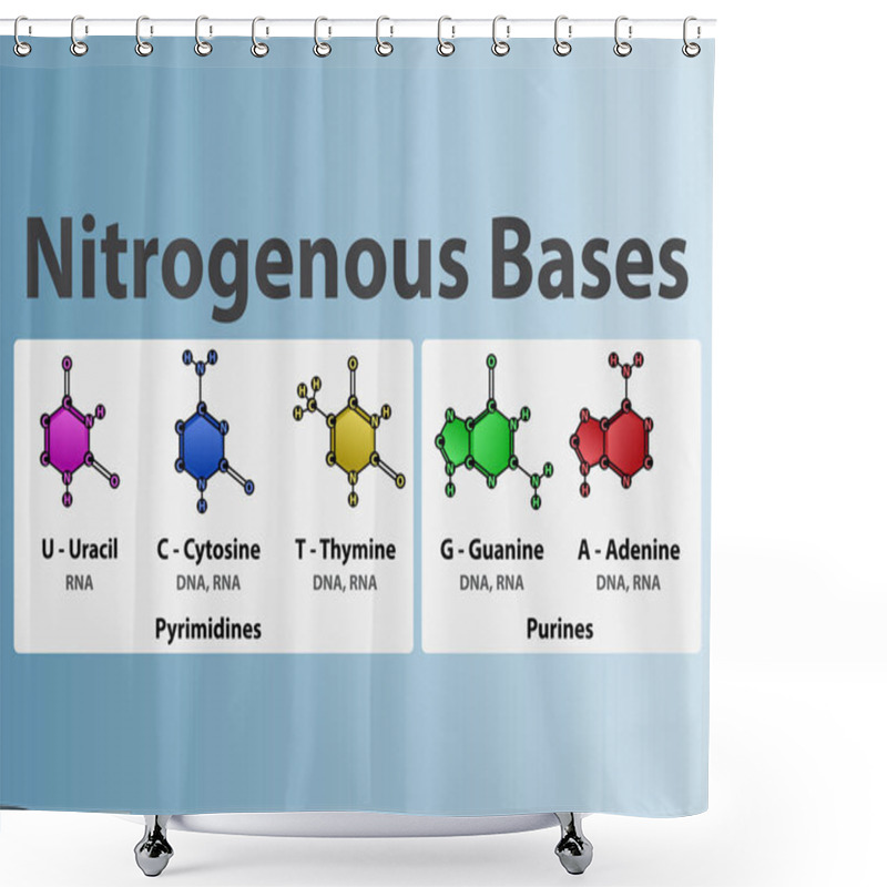 Personality  Nitrogenous Bases Of Nucleotides - Uracil, Cytosine, Thymine, Guanine, Adenine Biomolecules Used In Synthesis Of RNA And DNA. Biochemistry Infographic For Chemistry And Biology Education Shower Curtains