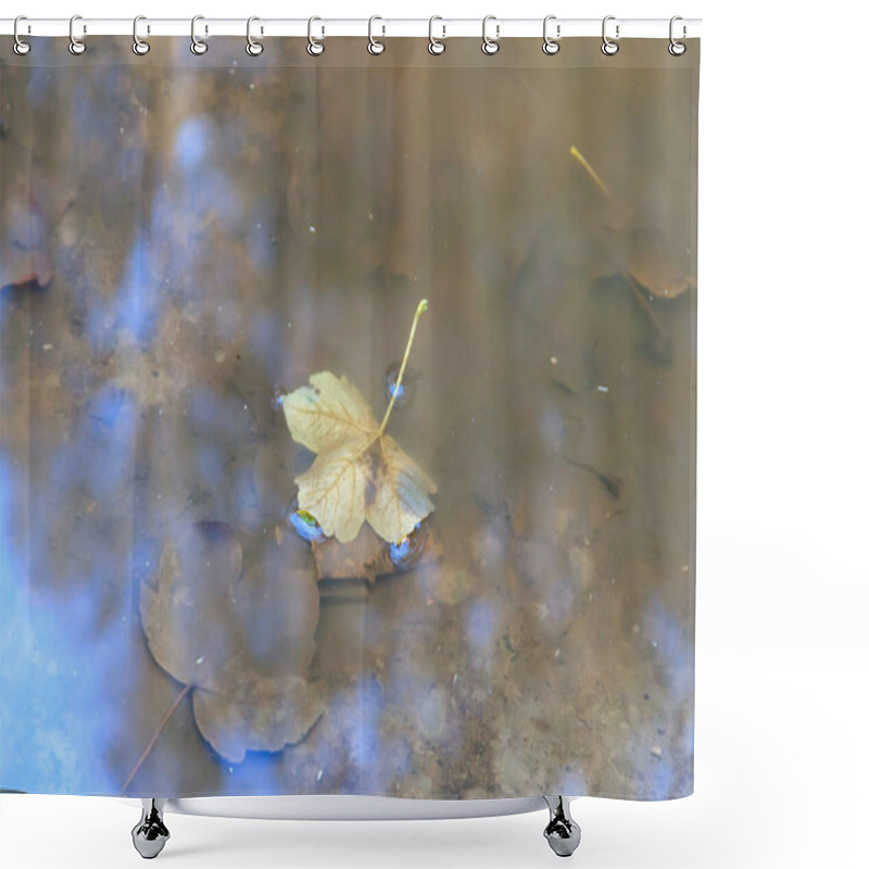 Personality  Colorful Fall Maple Leaves In Rain Puddle, Floating Autumn Leaf. October Weather, November Nature Background Shower Curtains