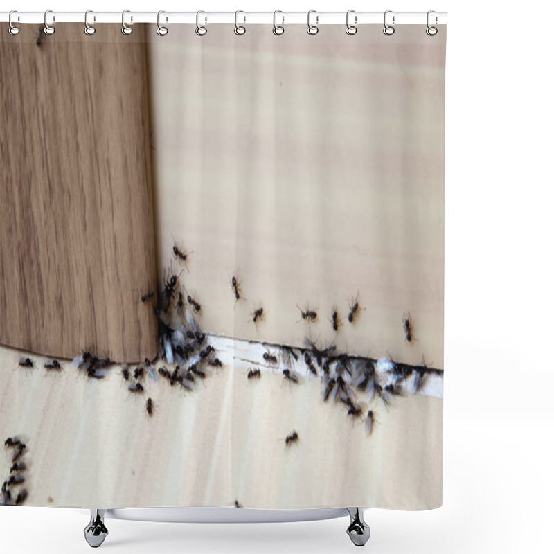 Personality  Ants In The House Shower Curtains