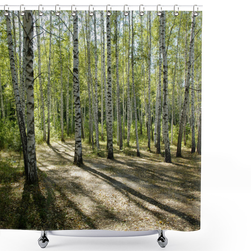 Personality  Sunshiny Birch Grove Shower Curtains