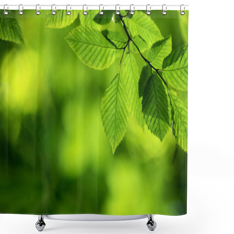 Personality  Green Leaves Shower Curtains